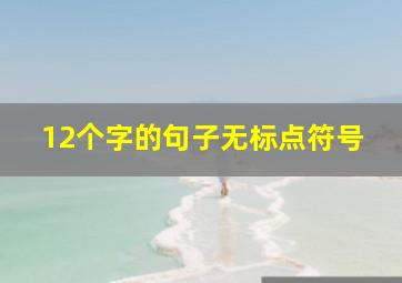 12个字的句子无标点符号