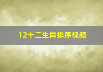 12十二生肖排序视频