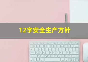 12字安全生产方针