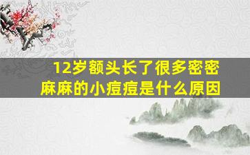 12岁额头长了很多密密麻麻的小痘痘是什么原因