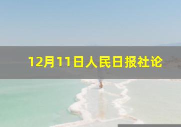 12月11日人民日报社论