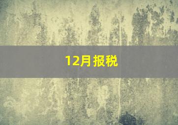 12月报税