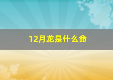 12月龙是什么命