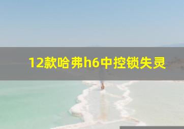 12款哈弗h6中控锁失灵