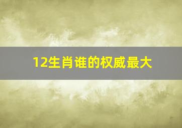 12生肖谁的权威最大