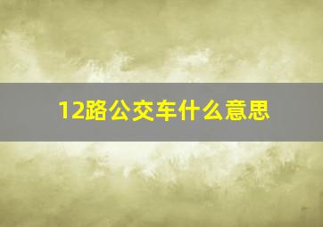 12路公交车什么意思