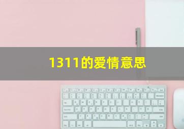 1311的爱情意思