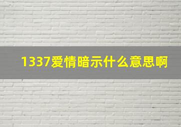 1337爱情暗示什么意思啊