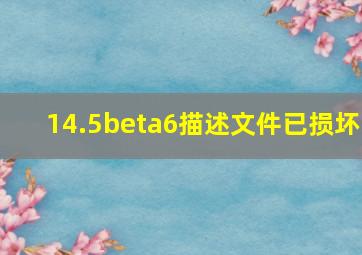 14.5beta6描述文件已损坏