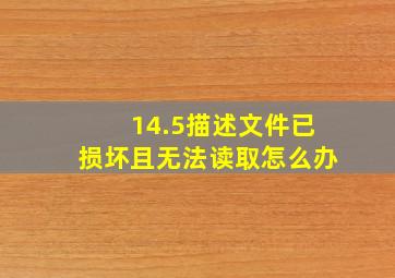 14.5描述文件已损坏且无法读取怎么办