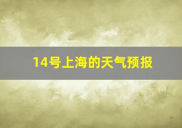 14号上海的天气预报