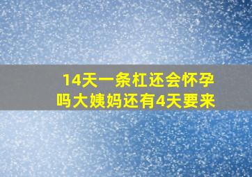 14天一条杠还会怀孕吗大姨妈还有4天要来