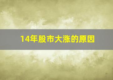 14年股市大涨的原因