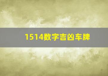 1514数字吉凶车牌