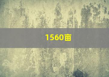 1560亩