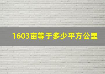 1603亩等于多少平方公里