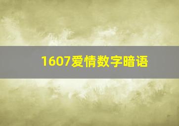 1607爱情数字暗语