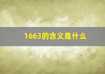 1663的含义是什么