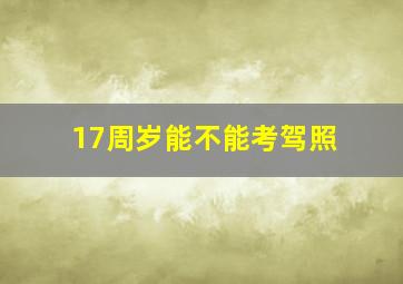 17周岁能不能考驾照