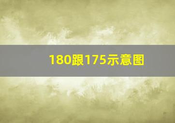 180跟175示意图