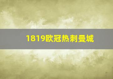 1819欧冠热刺曼城