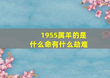 1955属羊的是什么命有什么劫难