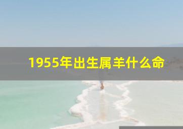 1955年出生属羊什么命