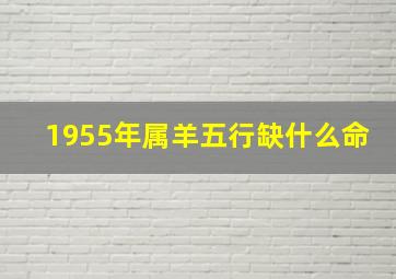 1955年属羊五行缺什么命