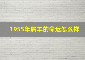 1955年属羊的命运怎么样