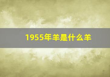 1955年羊是什么羊