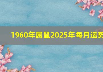 1960年属鼠2025年每月运势