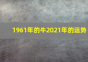 1961年的牛2021年的运势