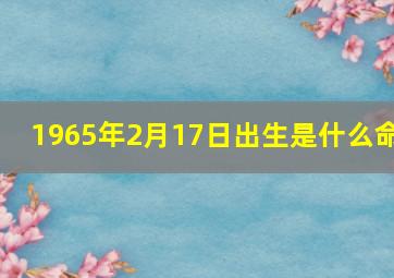 1965年2月17日出生是什么命