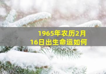 1965年农历2月16日出生命运如何