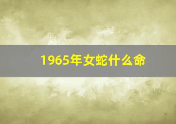 1965年女蛇什么命