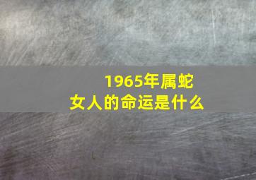 1965年属蛇女人的命运是什么