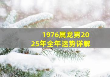 1976属龙男2025年全年运势详解