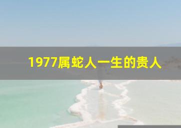 1977属蛇人一生的贵人