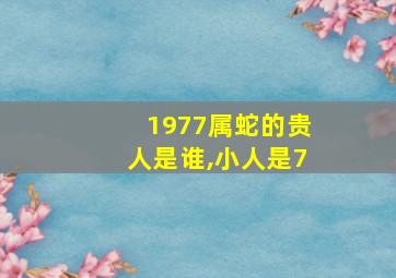 1977属蛇的贵人是谁,小人是7