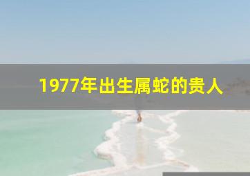 1977年出生属蛇的贵人