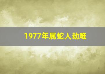 1977年属蛇人劫难