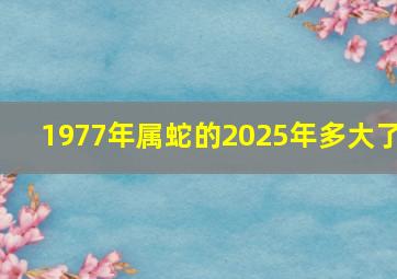 1977年属蛇的2025年多大了