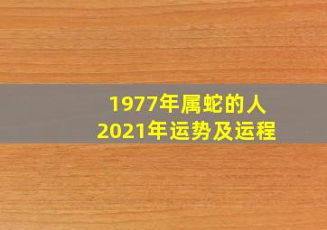 1977年属蛇的人2021年运势及运程