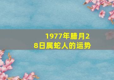 1977年腊月28日属蛇人的运势