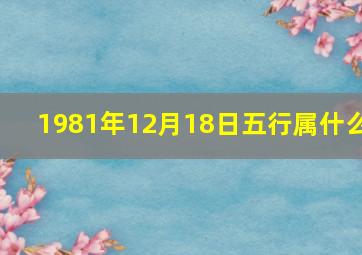 1981年12月18日五行属什么