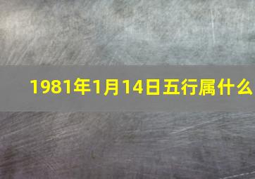 1981年1月14日五行属什么