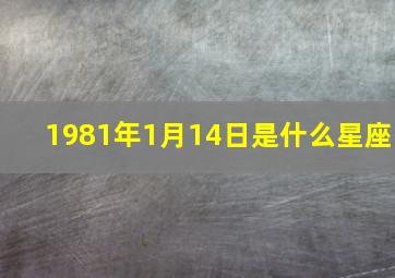 1981年1月14日是什么星座