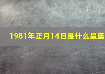 1981年正月14日是什么星座