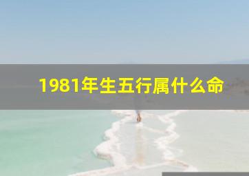 1981年生五行属什么命