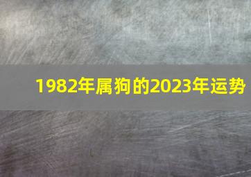 1982年属狗的2023年运势